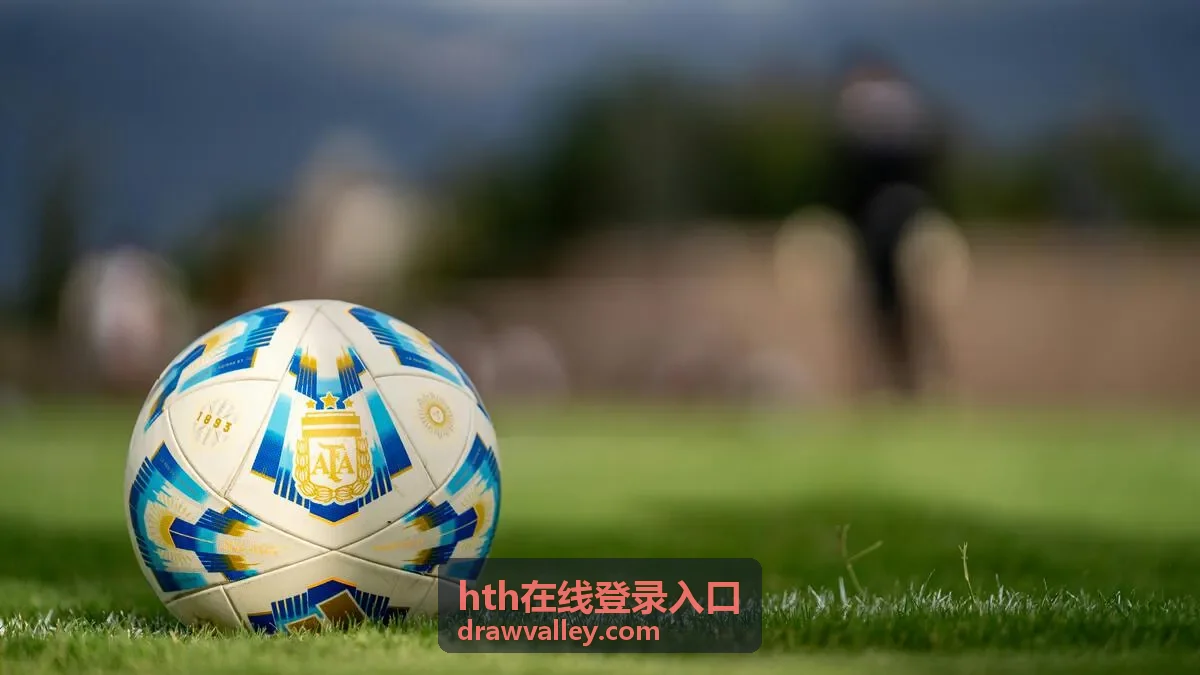 管理员在 hth在线登录入口 中检查成员权限状态的场景