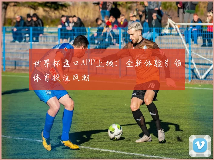 世界杯盘口APP上线：全新体验引领体育投注风潮
