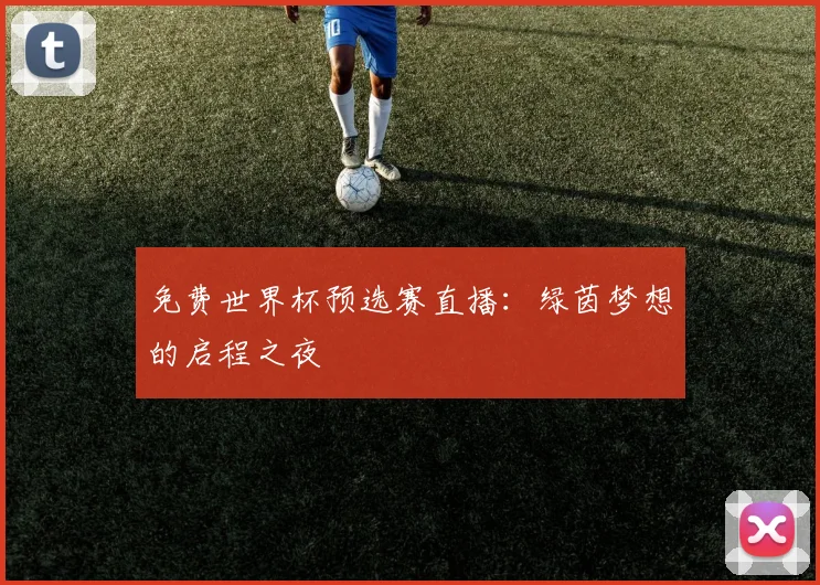 免费世界杯预选赛直播：绿茵梦想的启程之夜