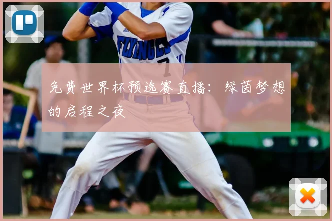 免费世界杯预选赛直播：绿茵梦想的启程之夜