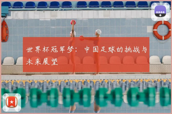 世界杯冠军梦：中国足球的挑战与未来展望