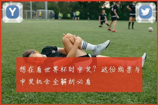想在看世界杯时中奖？这份购票与中奖机会全解析必看