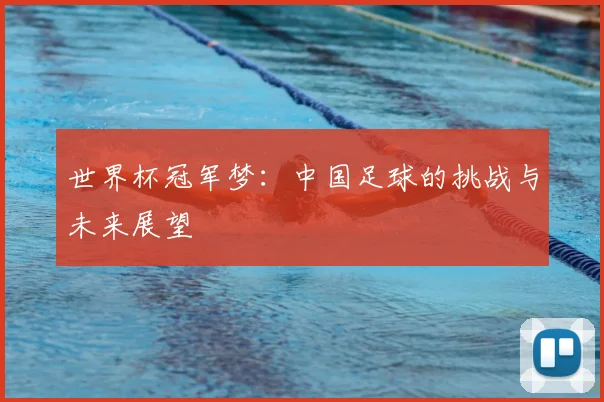 世界杯冠军梦：中国足球的挑战与未来展望