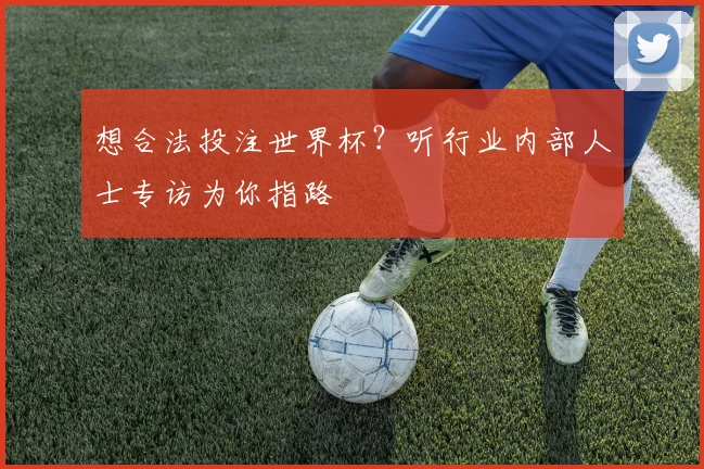 想合法投注世界杯？听行业内部人士专访为你指路