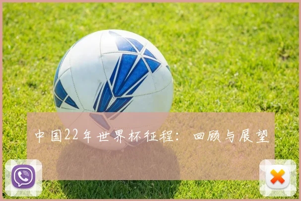 中国22年世界杯征程：回顾与展望